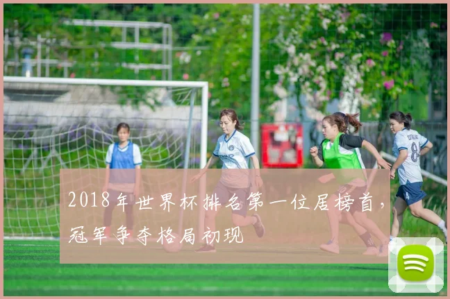 2018年世界杯排名第一位居榜首，冠军争夺格局初现