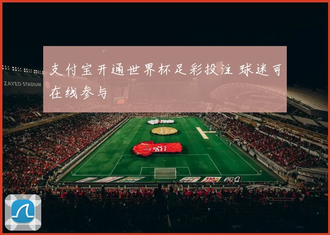 支付宝开通世界杯足彩投注 球迷可在线参与
