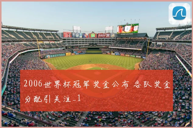 2006世界杯冠军奖金公布 各队奖金分配引关注_1