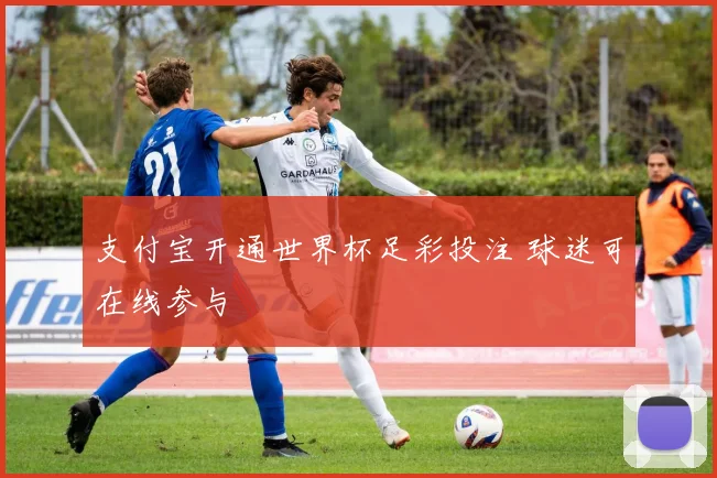 支付宝开通世界杯足彩投注 球迷可在线参与
